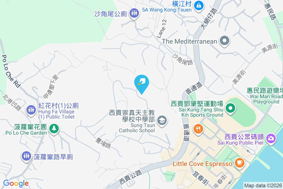 Dragon Villa 躉場路75-89號