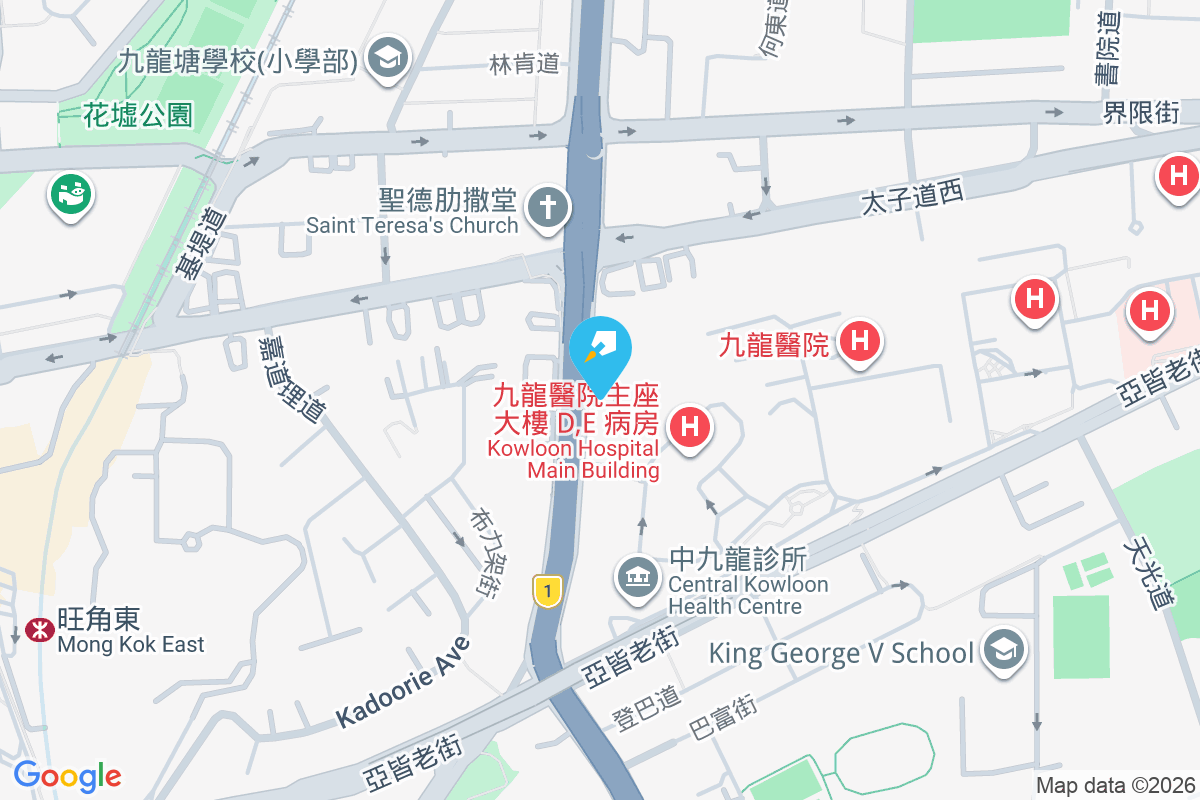 碧儷閣 窩打老道112號