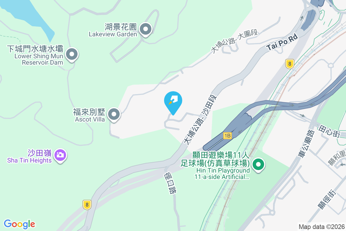 桂園 大埔公路沙田嶺段8006號