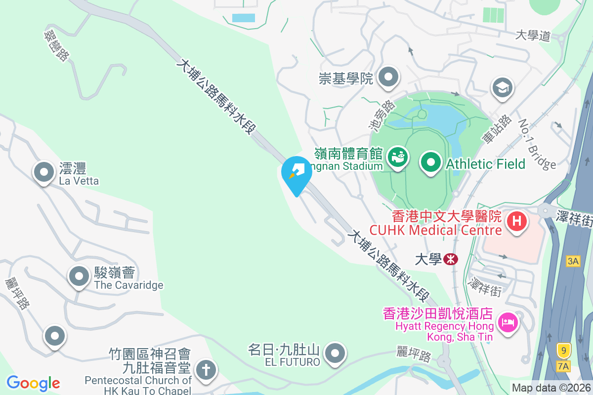 雍雅山 大埔公路馬料水段5678段