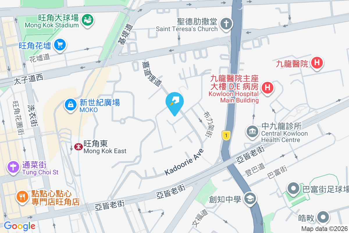 嘉道理道69號 嘉道理道69號