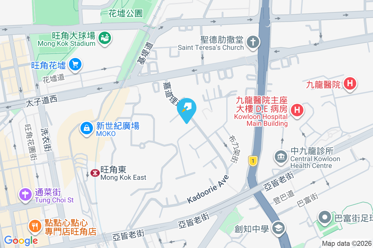 嘉道理道95號 嘉道理道95號