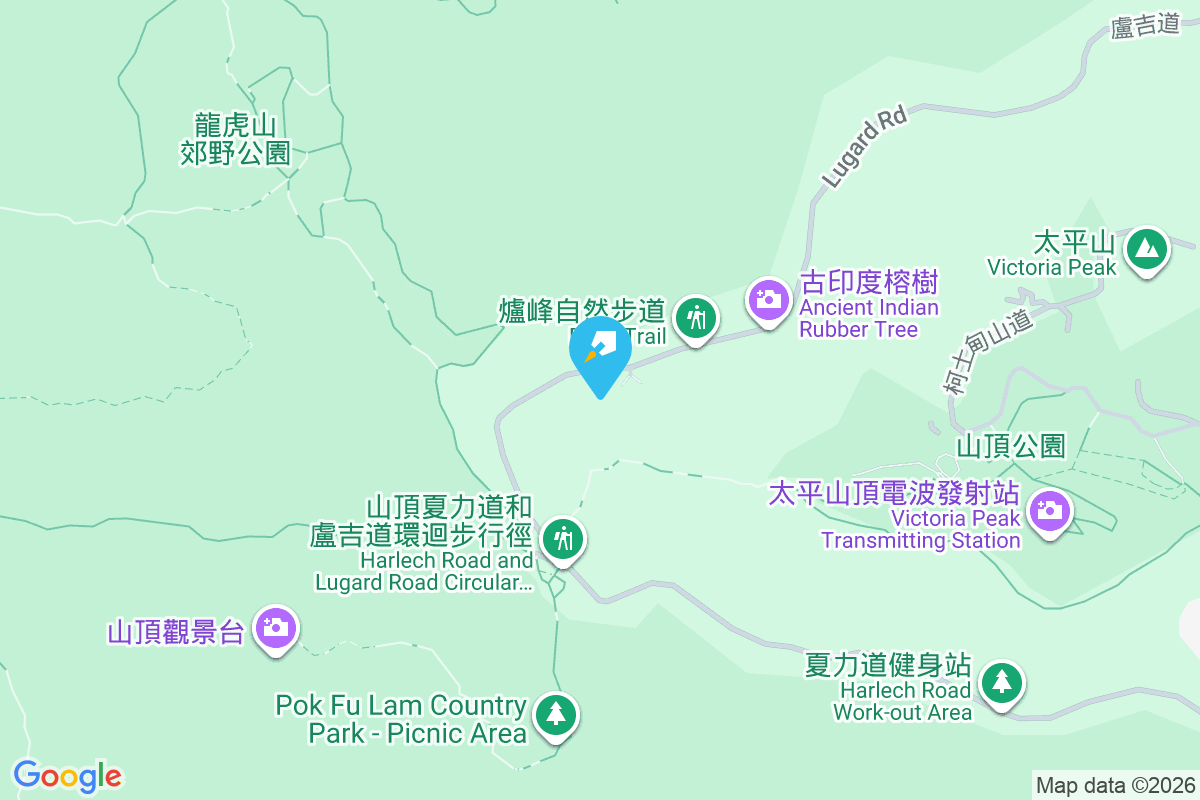 Hirst Mansions 盧吉道30號