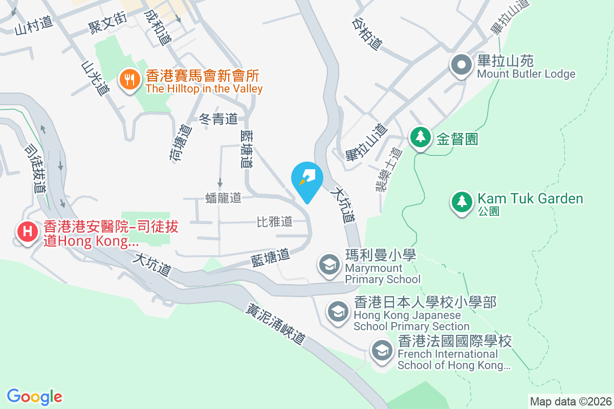 藍塘道115號 藍塘道115號