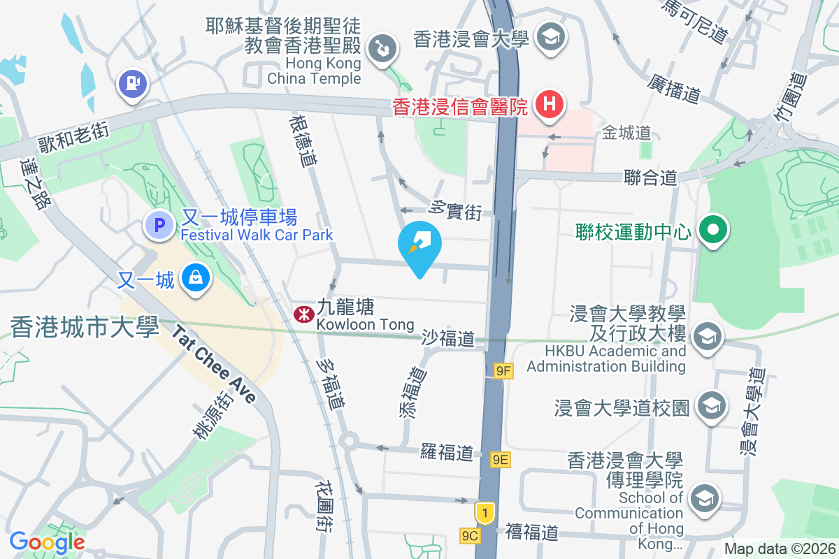 森麻實道12號 森麻實道12號