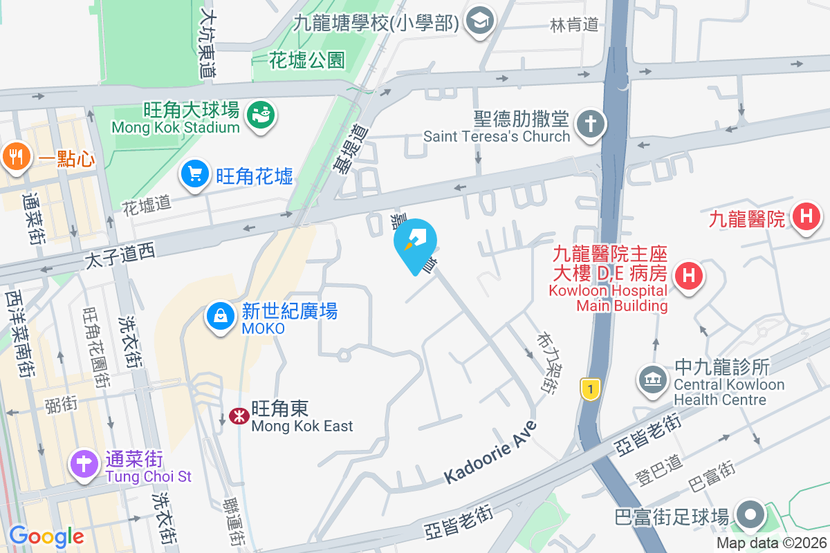 嘉道理道107號 嘉道理道107號