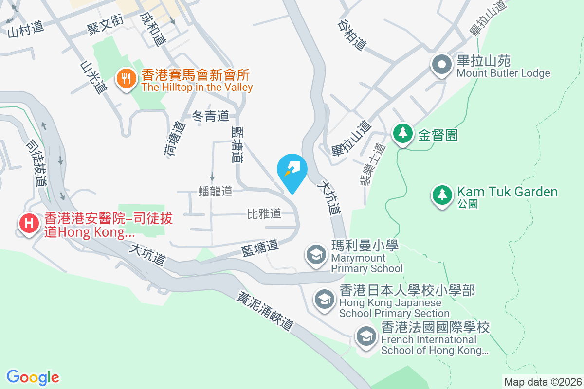 藍塘道113號 藍塘道113號