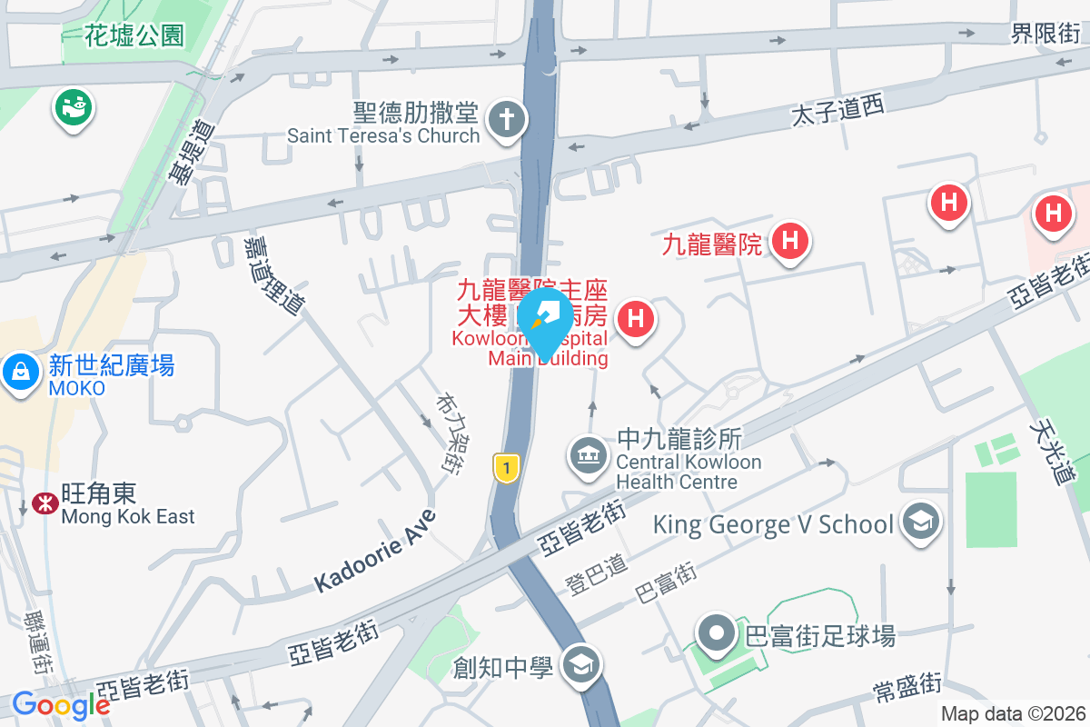 窩打老道102號 窩打老道102號