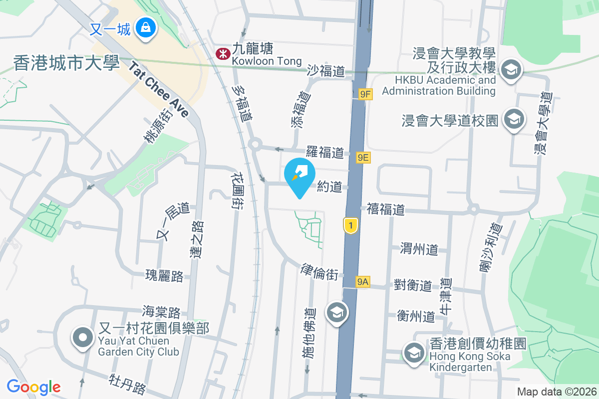 約道8號 約道8號