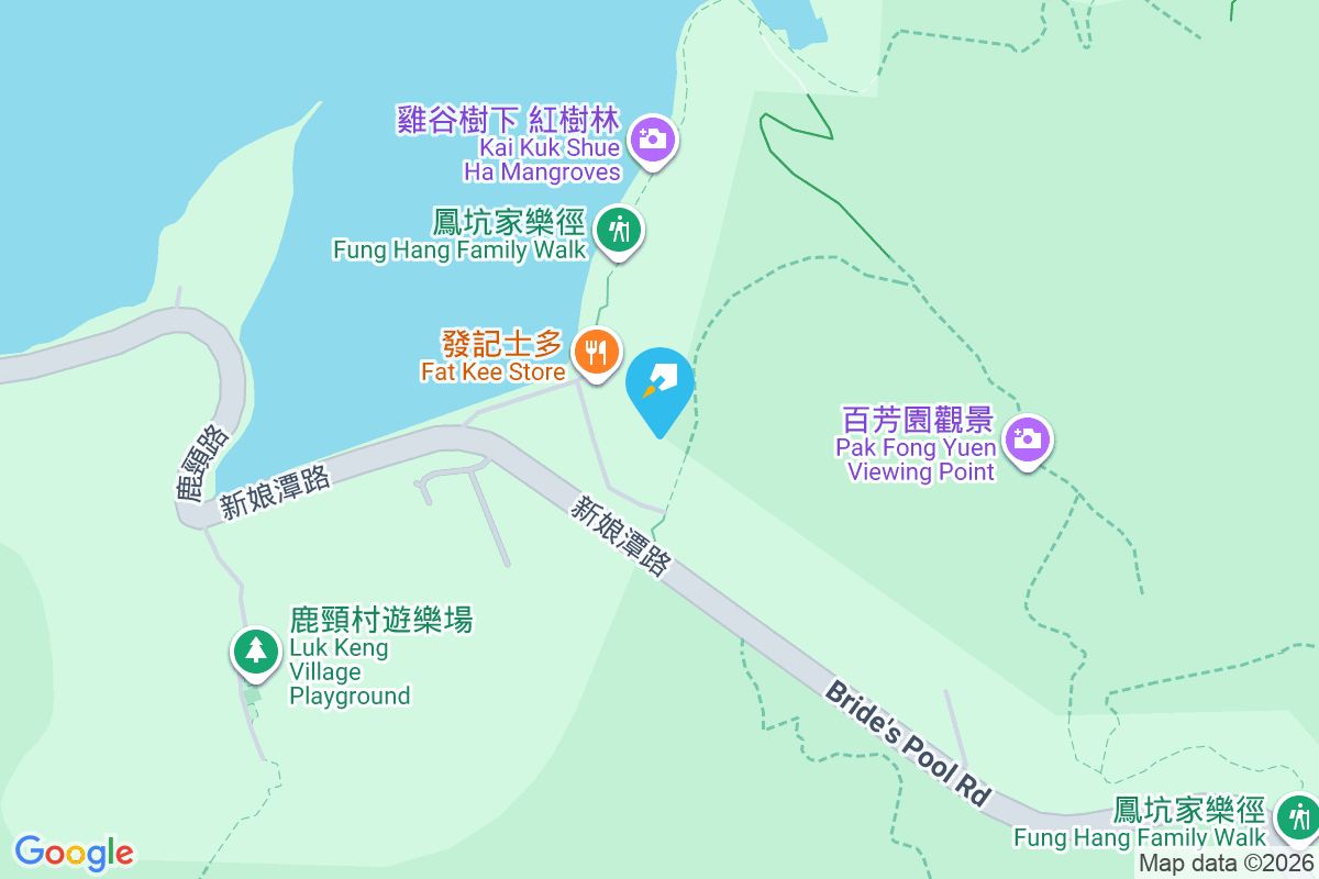雞谷樹下 地圖位置