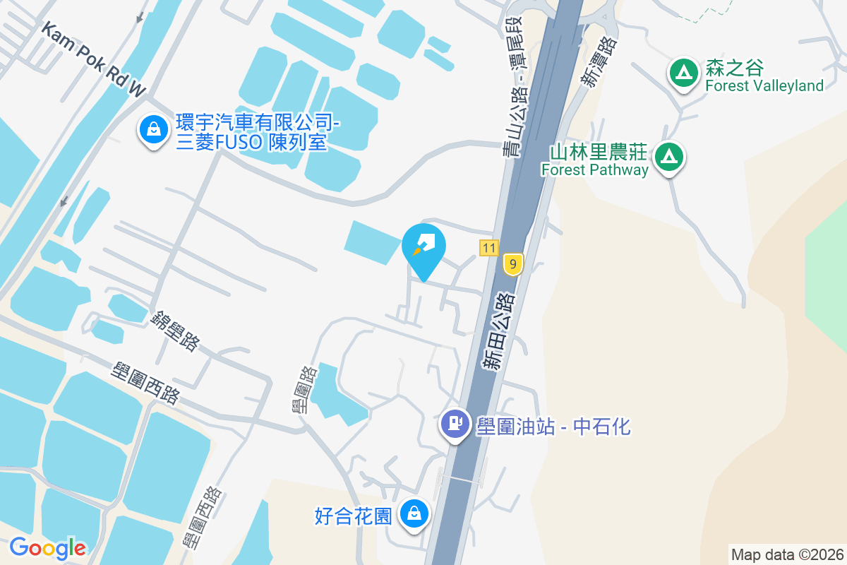 悅富豪苑 新田壆圍628號