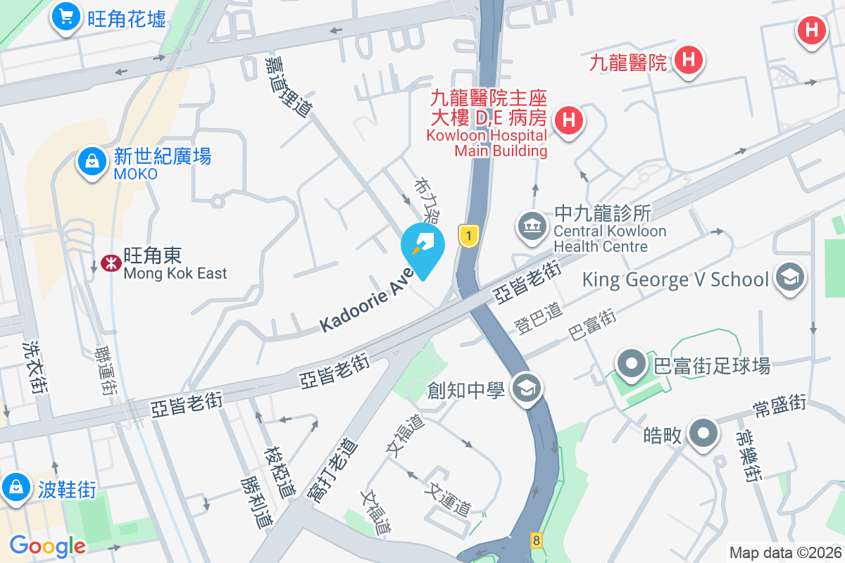 嘉道理道28號 嘉道理道28號