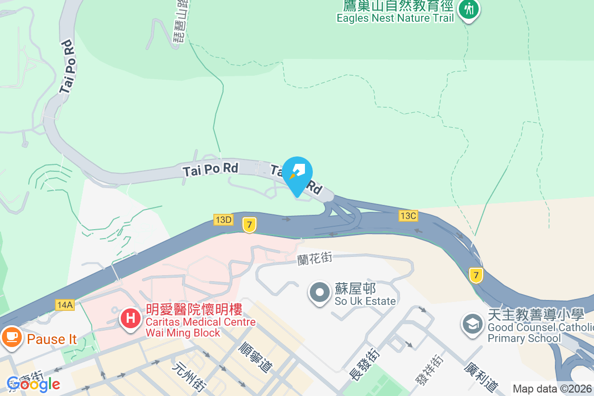 爾登豪庭 大埔道363號