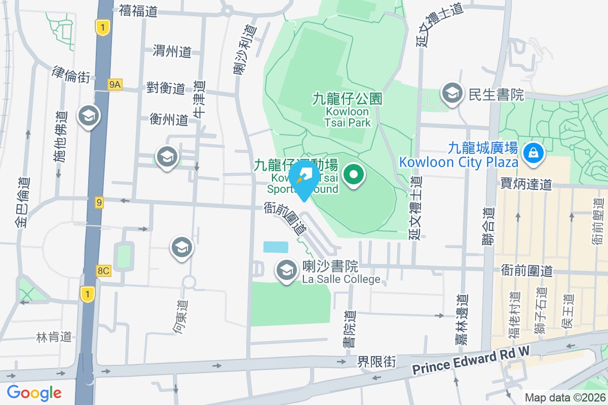 康寧台 衙前圍道184號