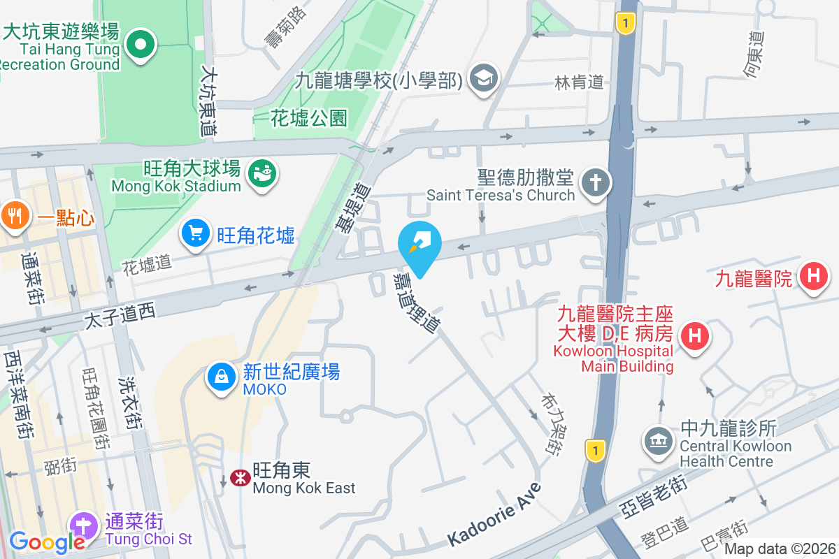 Kadoorie Hill 太子道西211號