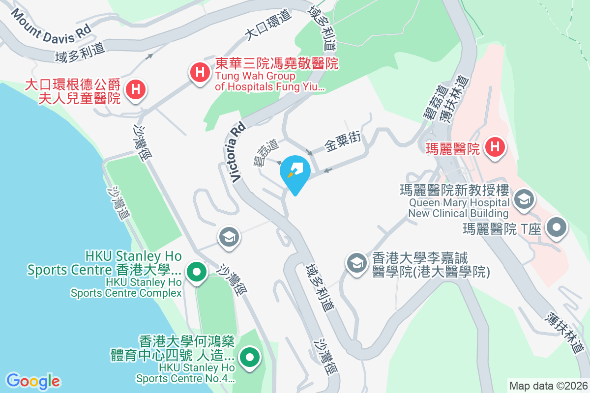 Bisney View 碧荔道47-49號