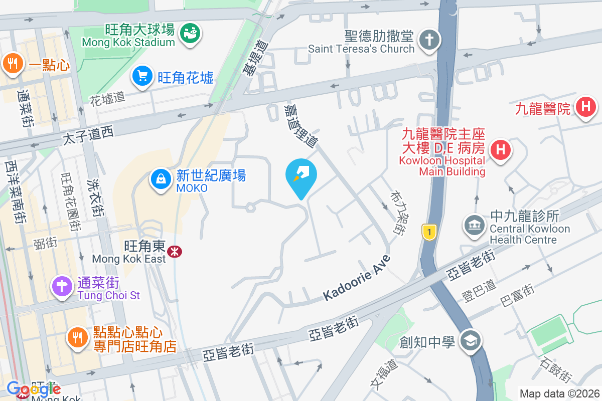 嘉道理道89A號 嘉道理道89A號