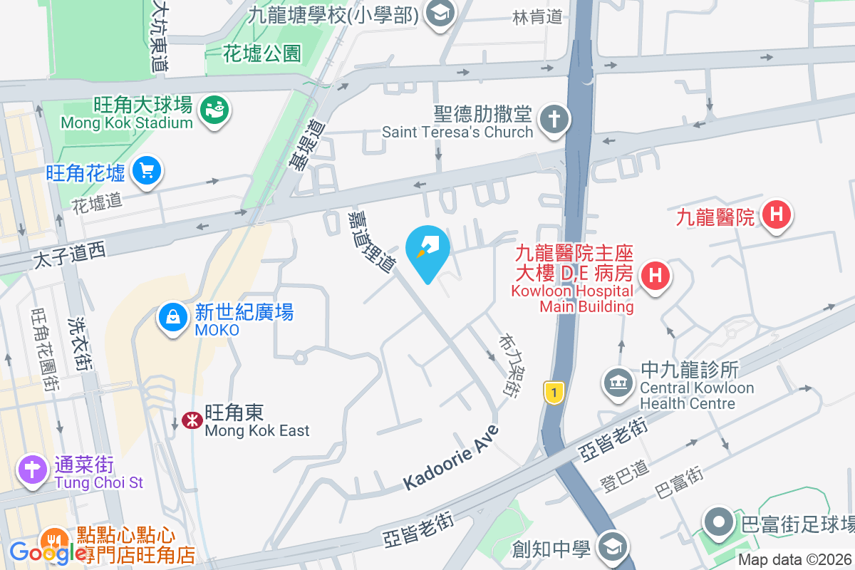 嘉道理道42B號 嘉道理道42B號