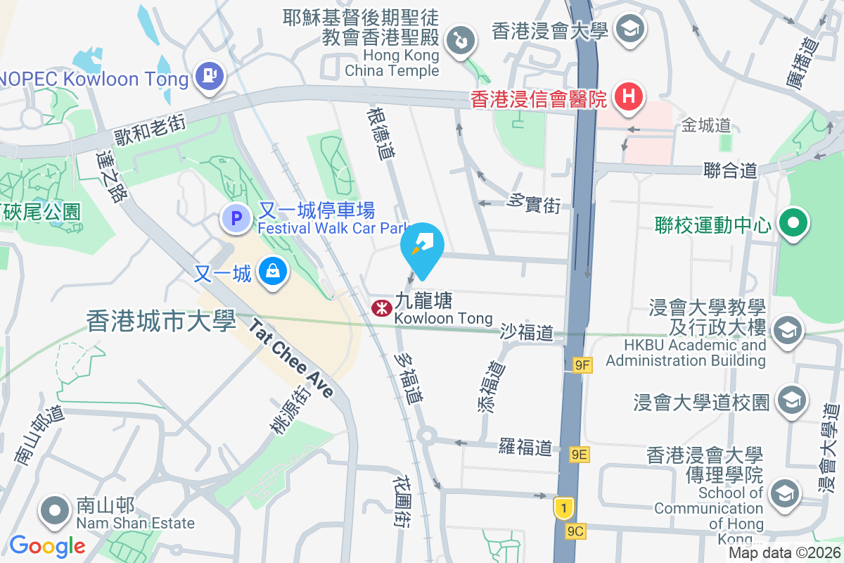 Rosette 森麻實道24號