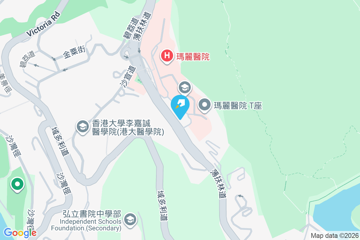 豪峰 薄扶林道118號