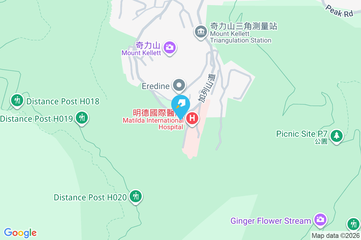 Parklane 加列山道41號