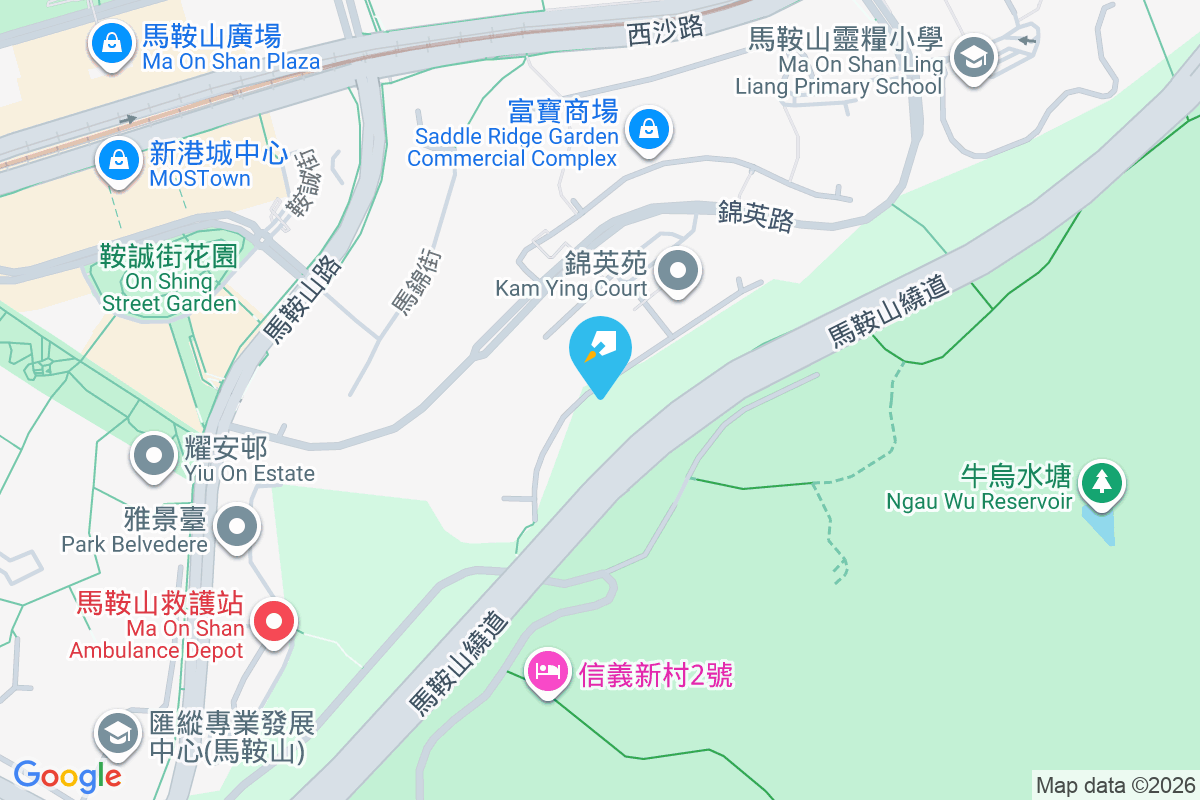 錦英苑 錦英路9號