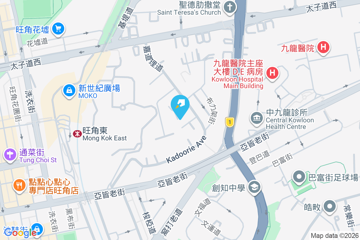 嘉道理道49號 嘉道理道49號