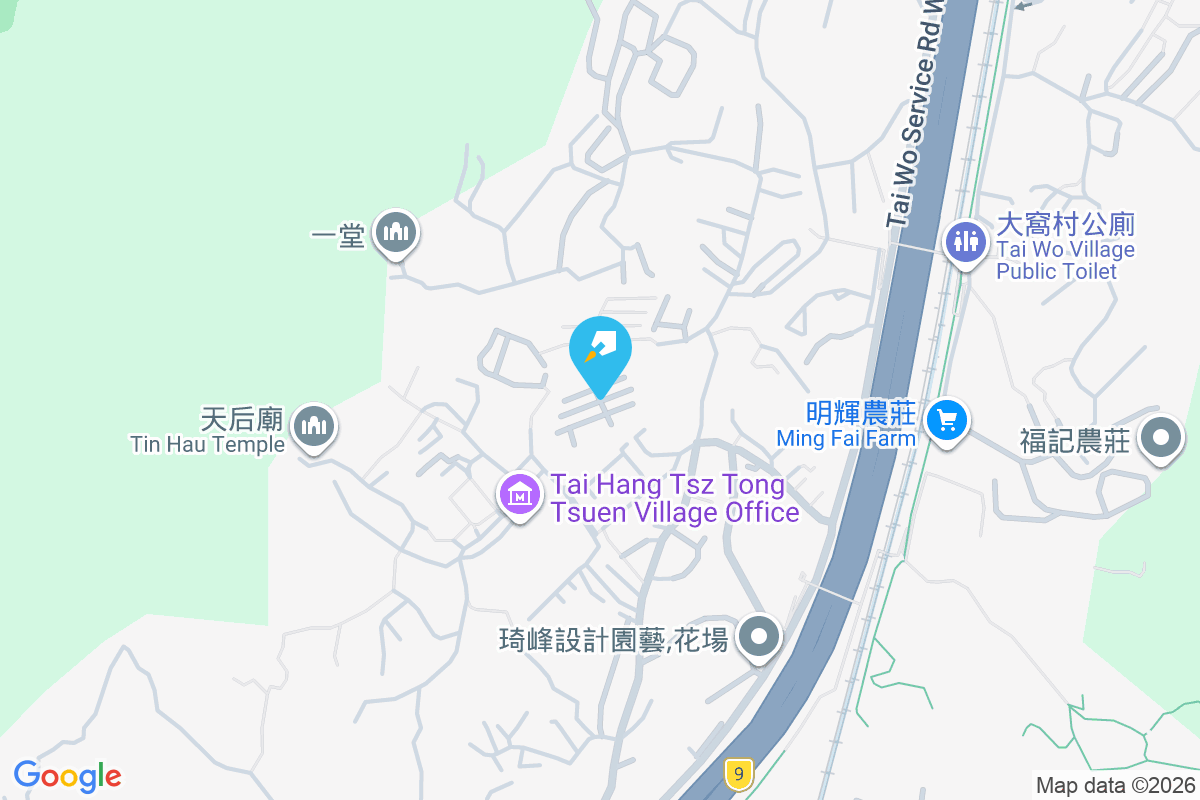 俊亨豪苑 泰亨村128號