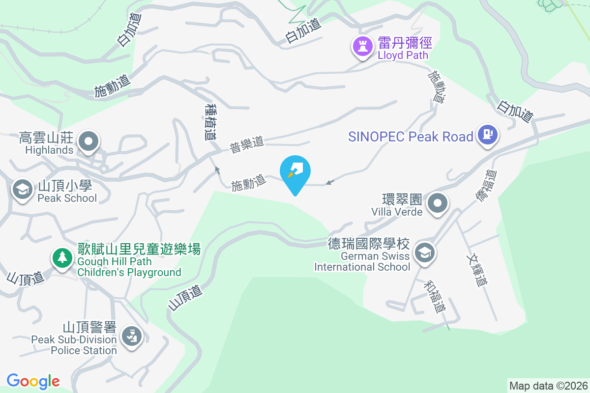 施勳道29號 施勳道29號