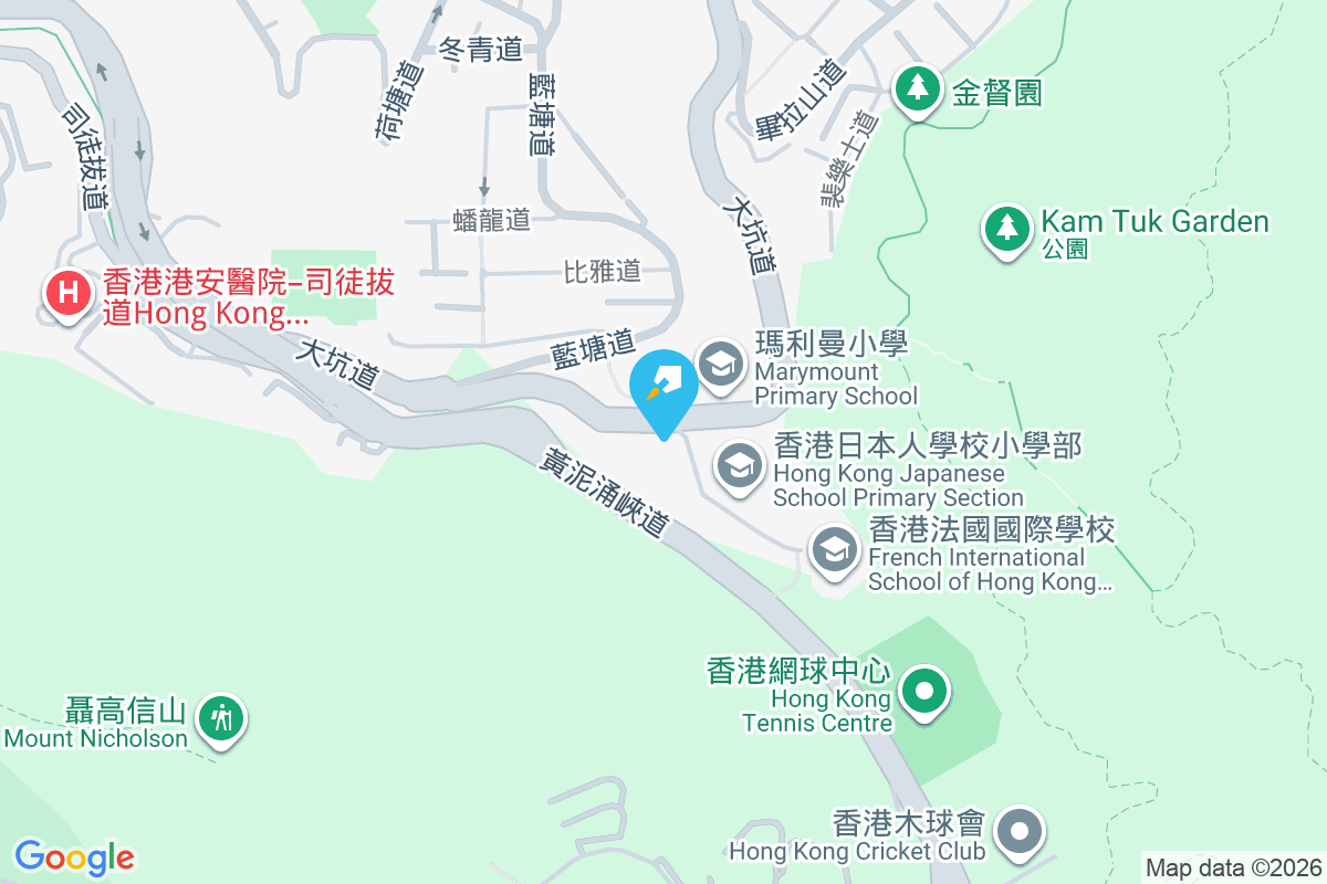 大坑道339號 大坑道339號