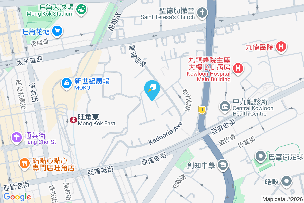 嘉道理道63號 嘉道理道63號