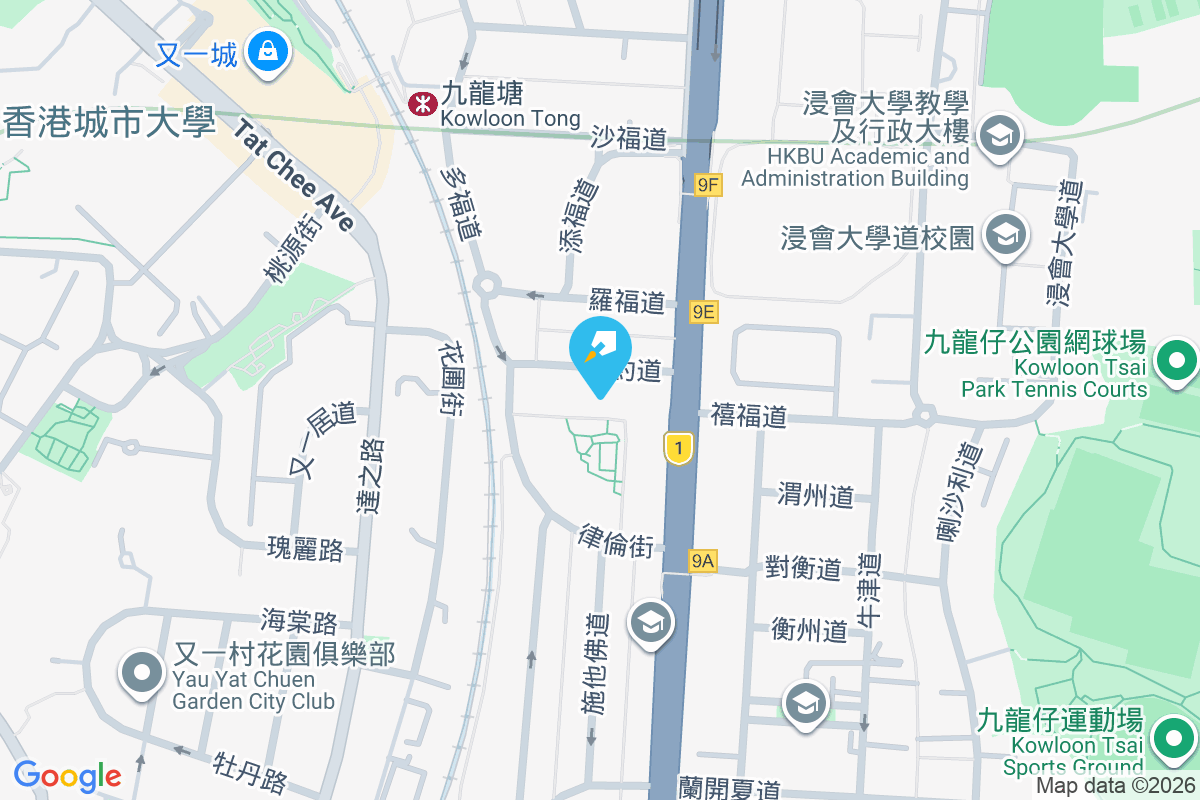 約道6號 約道6號