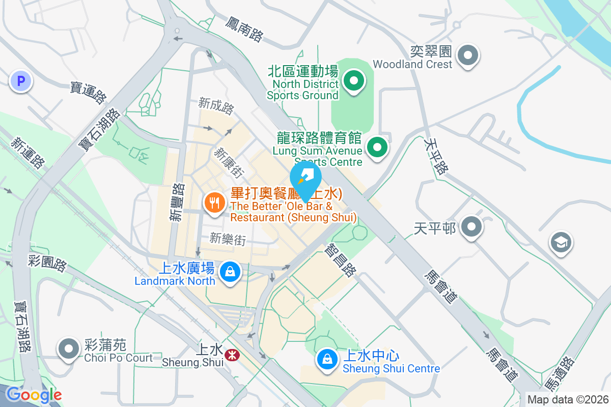 新祥街8號 新祥街8號