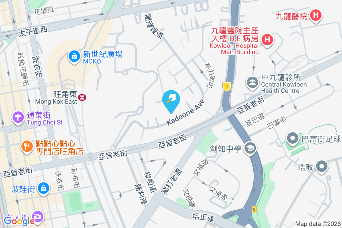 嘉道理道19號 嘉道理道19號