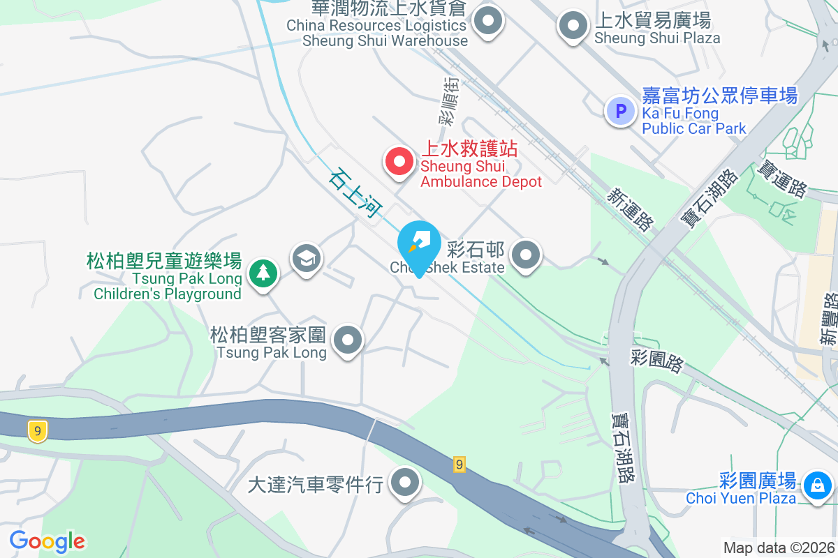 松柏朗 松柏朗10C-D9號