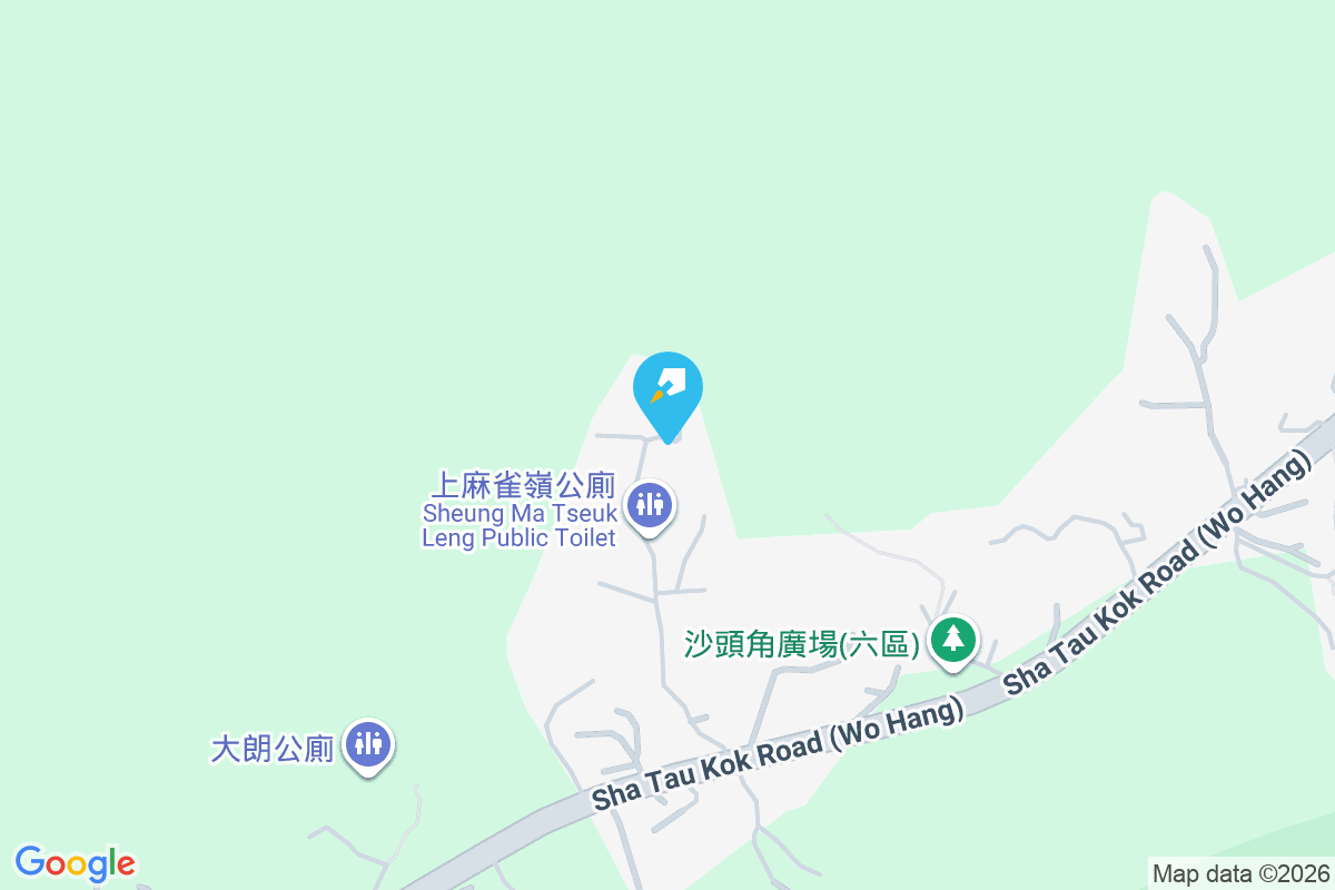 明湖居 麻雀嶺101號