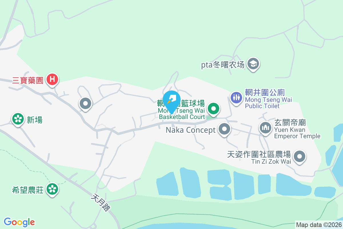 富成閣 輞井村57A-57B號