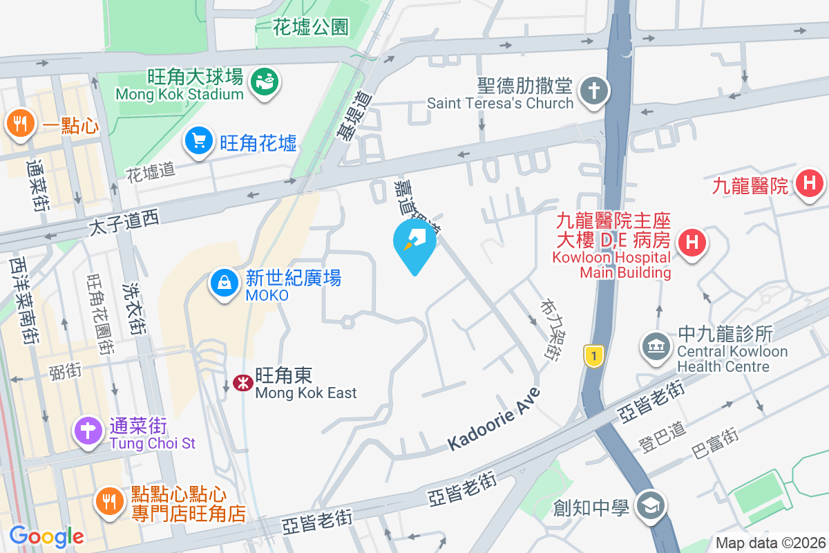 嘉道理道101號 嘉道理道101號