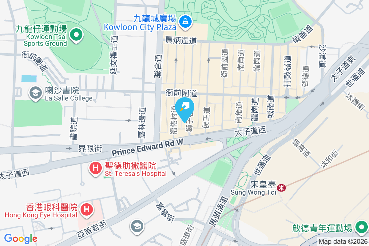 獅子石道9號 獅子石道9號