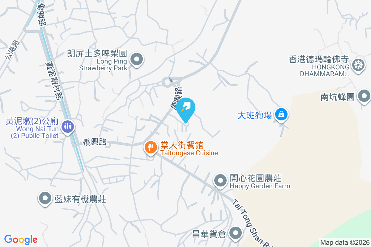 金龍花園 大棠村161號