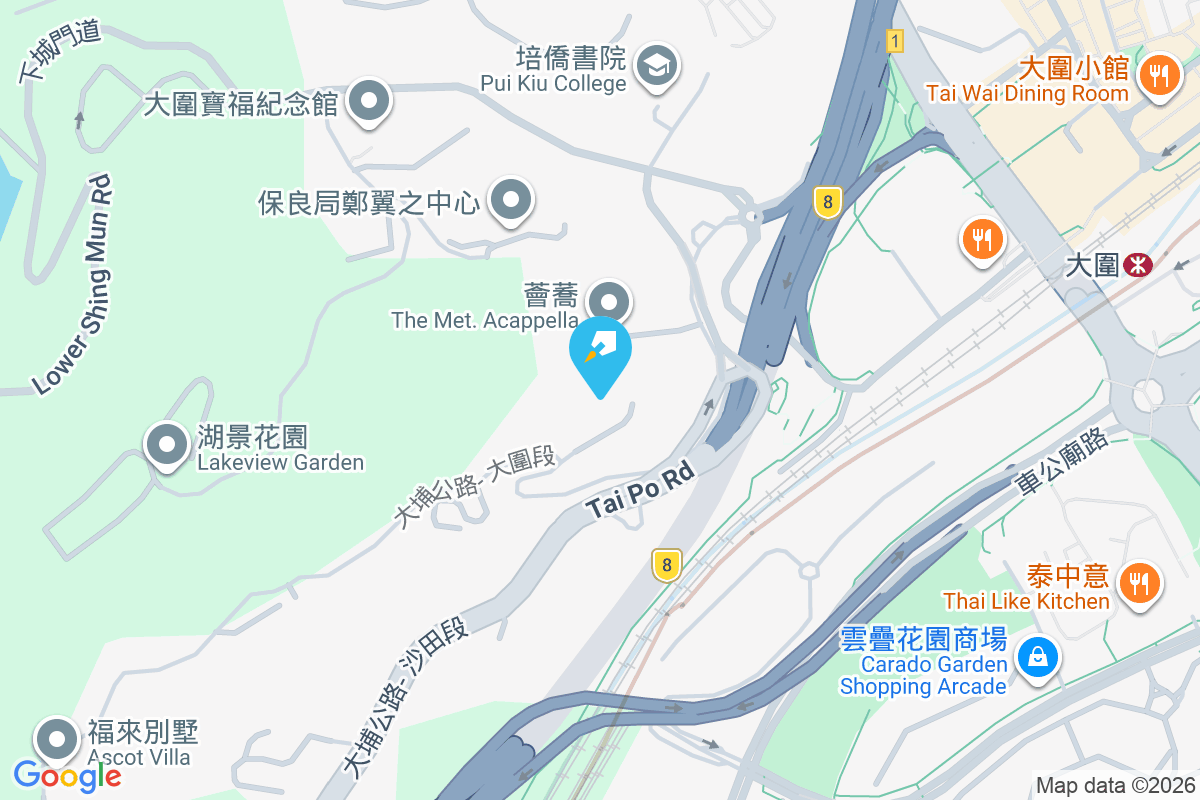 戈林 沙田嶺路8號