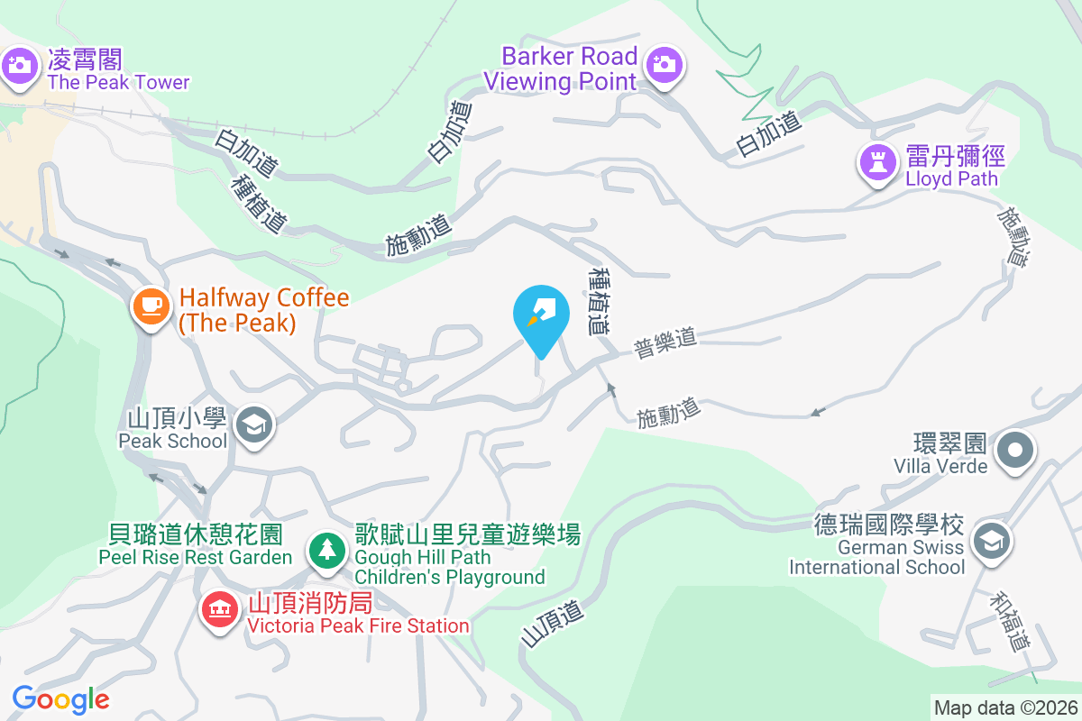 Mayfield 種植道41號