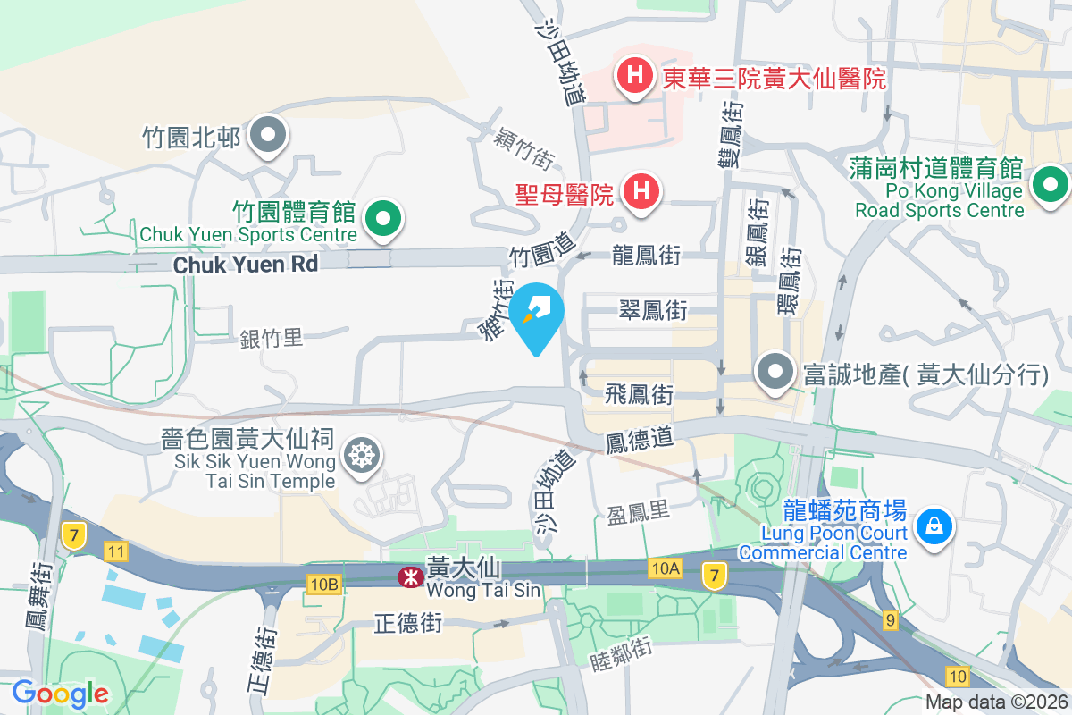 沙田坳道99號 沙田坳道99號