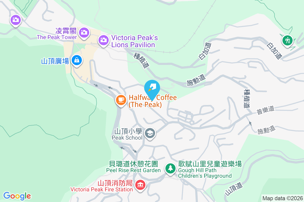 維景山莊 種植道19-19A號