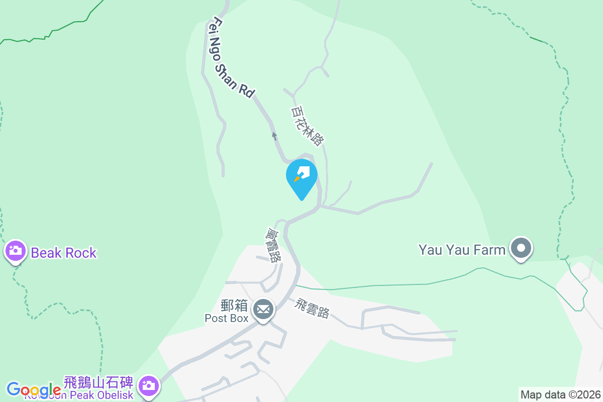 Pink Villa 飛鵝山道19號