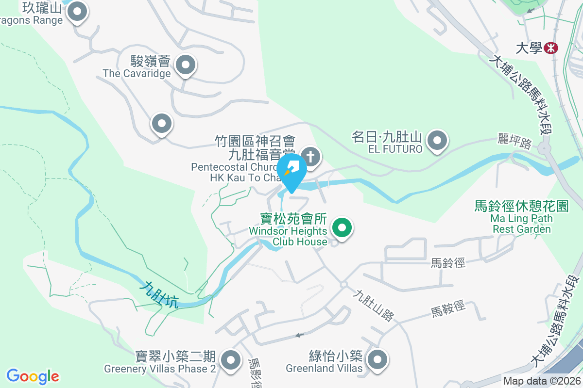 駿寶居 九肚徑1號