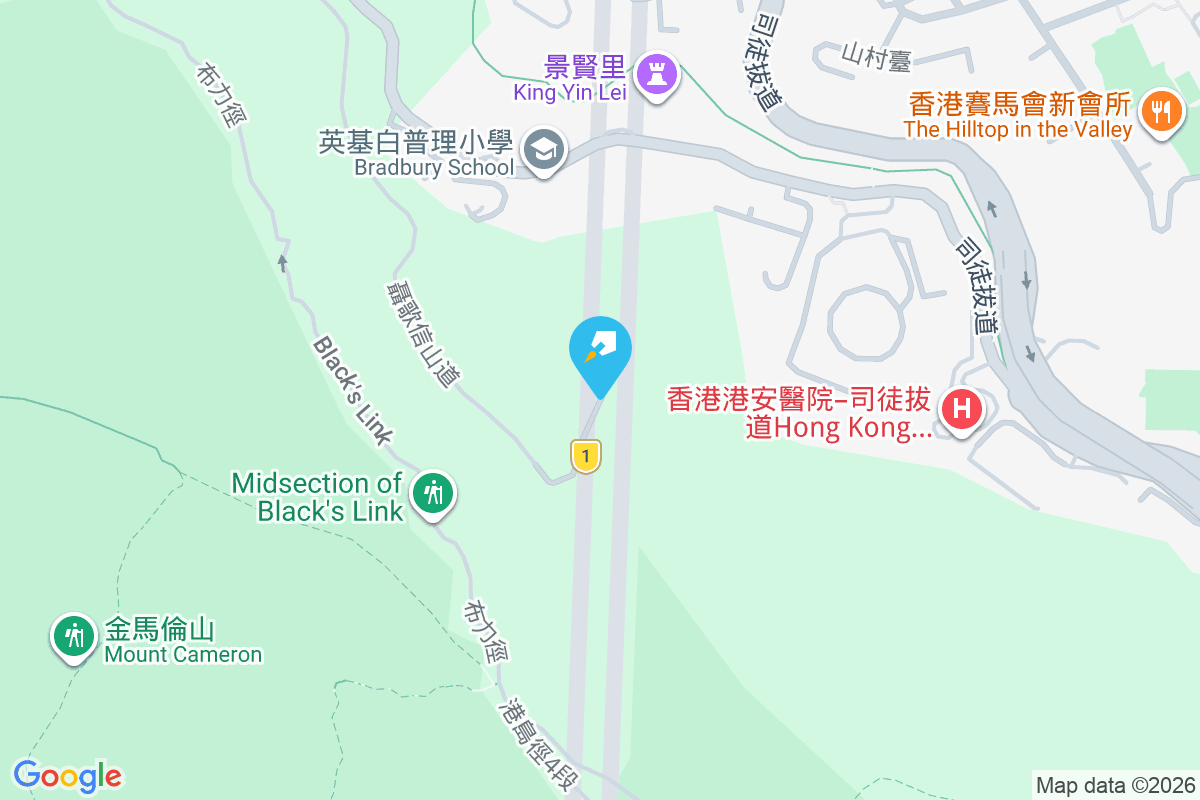 Mount Nicholson 聶歌信山道8號