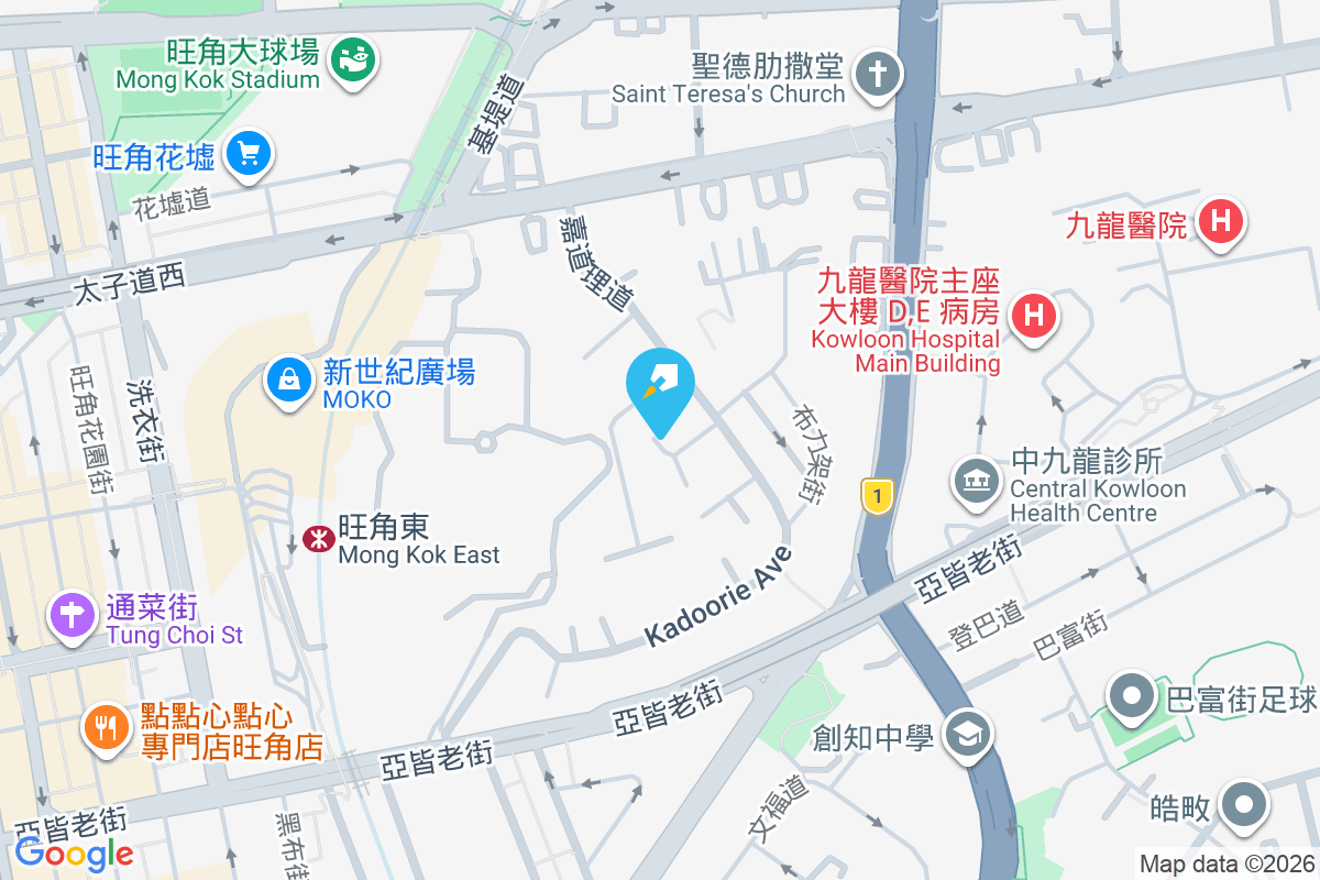 嘉道理道65號 嘉道理道65號