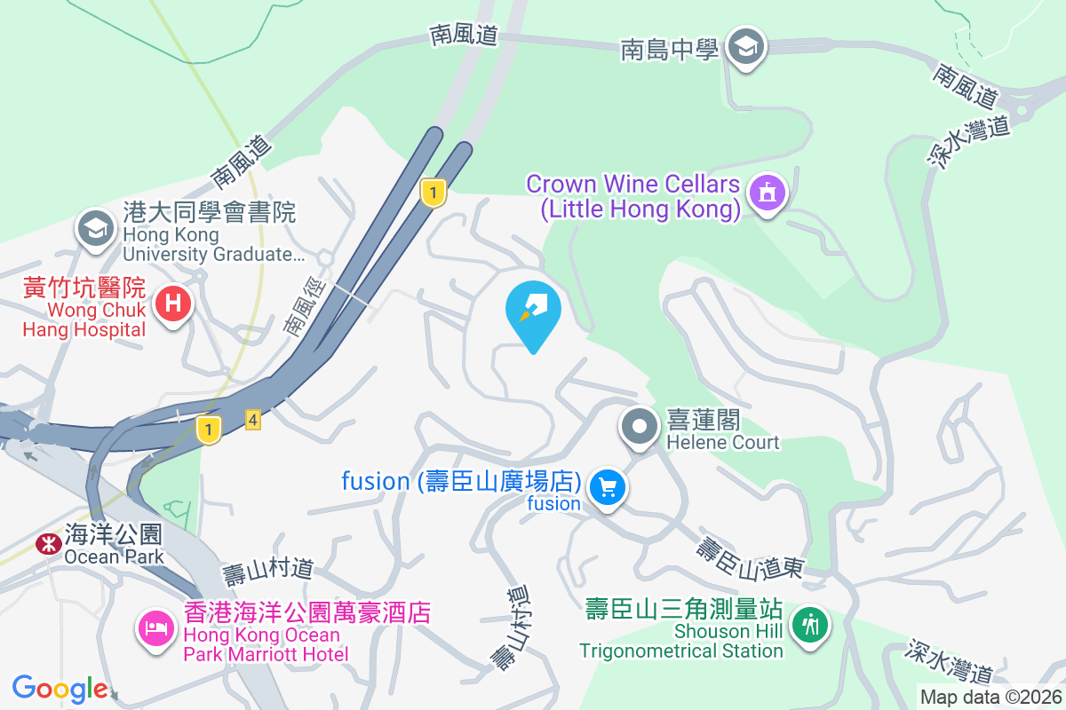 壽臣山道西 8 號 壽臣山道西8號