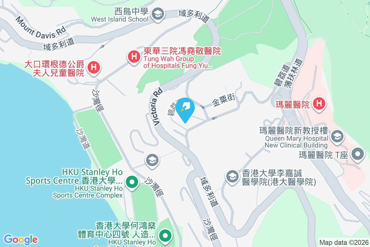 Bisney Villas 冠冕臺5-13號